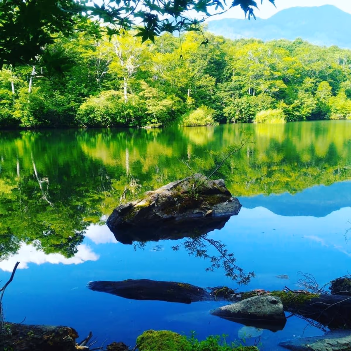 投稿写真：長野県小谷村鎌池
