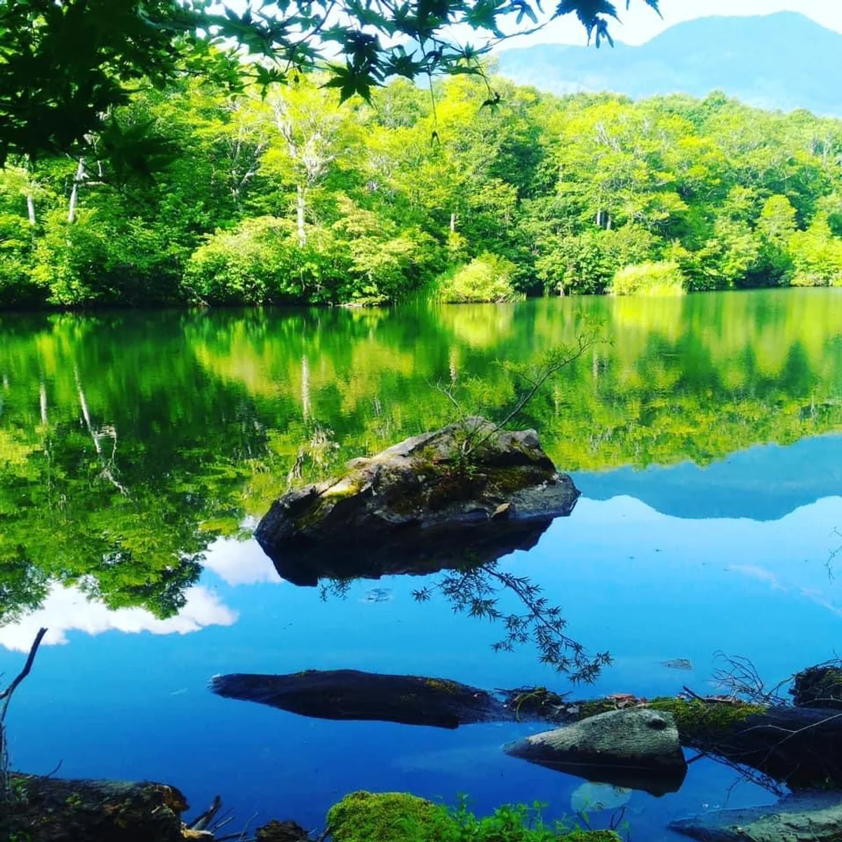 投稿写真：長野県小谷村鎌池