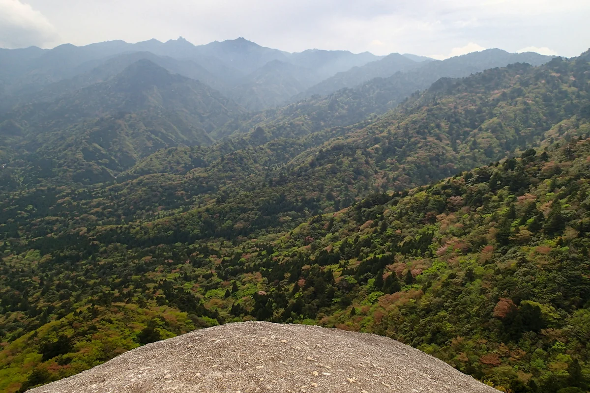 投稿写真：屋久島 太鼓岩からの絶景