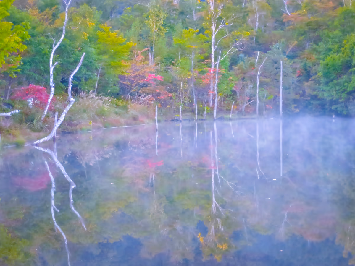 投稿写真：まいめの池に写る紅葉