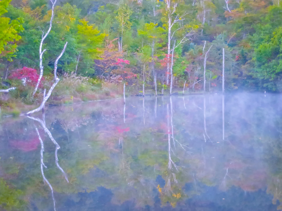 投稿写真：まいめの池に写る紅葉