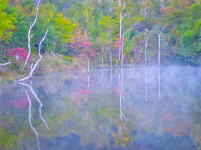  | 絶景事典