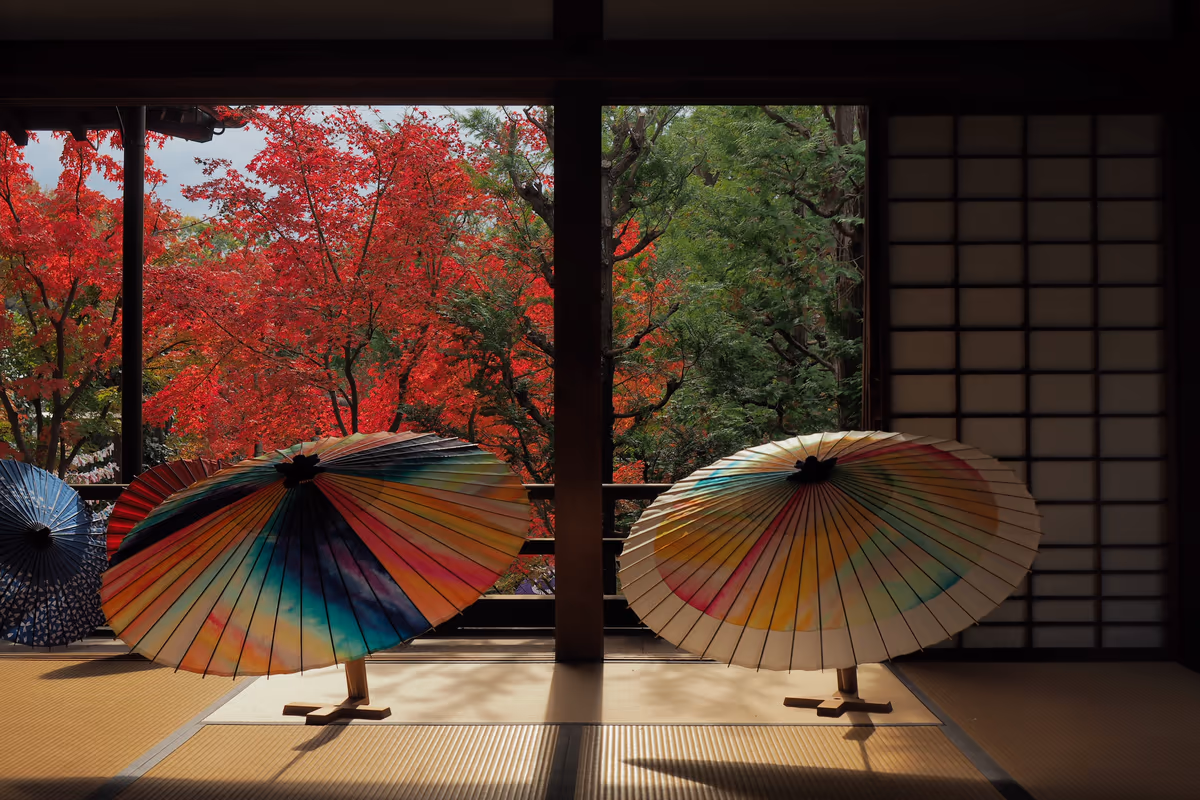 投稿写真：勝林寺　秋の日差し