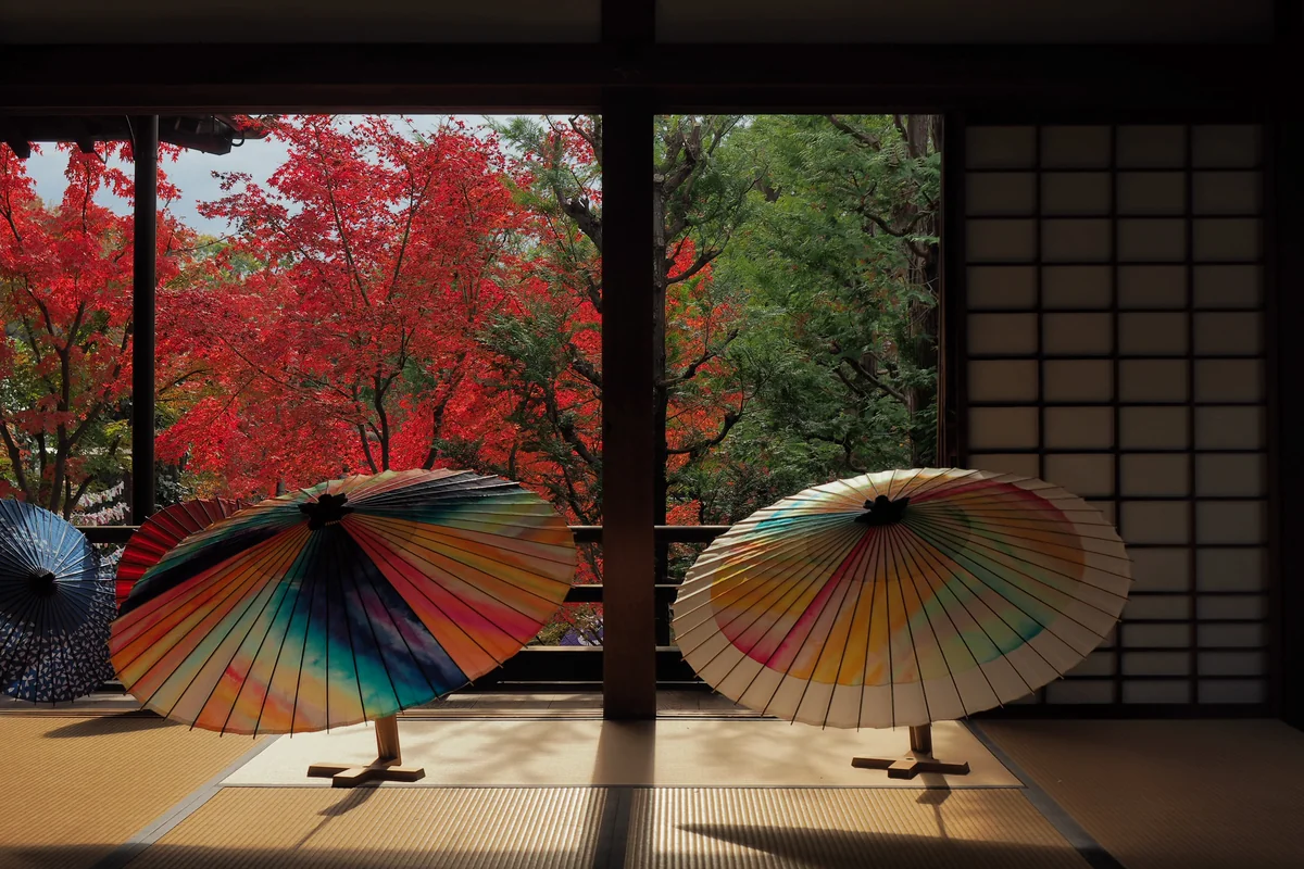 投稿写真：勝林寺　秋の日差し