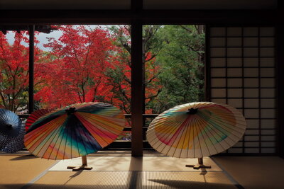  | 絶景事典