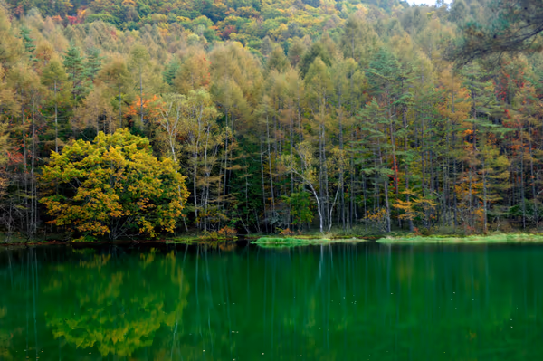 投稿：御射鹿池に迫る紅葉