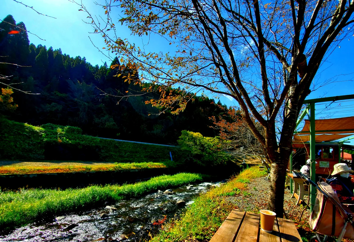 投稿写真：わんカフェ