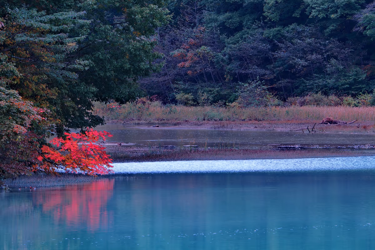 投稿写真：ダム湖と紅葉