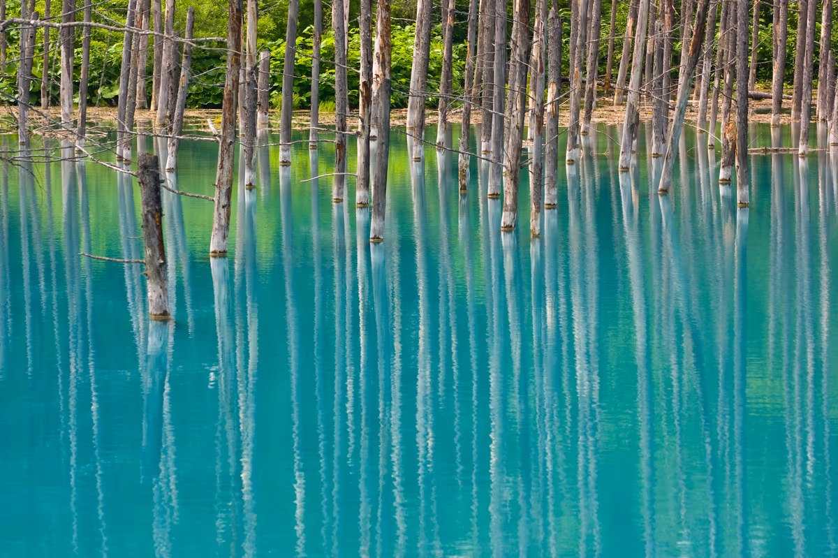 投稿写真：青い池