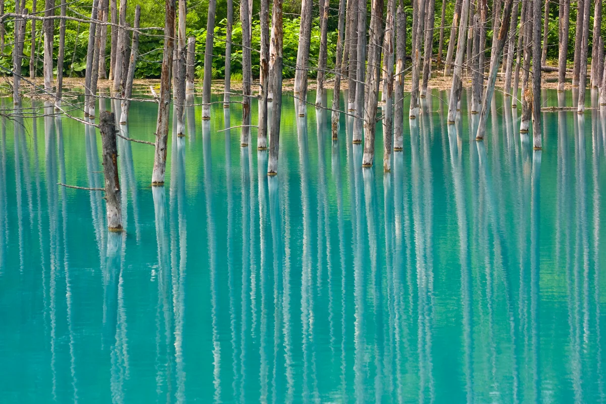投稿写真：青い池