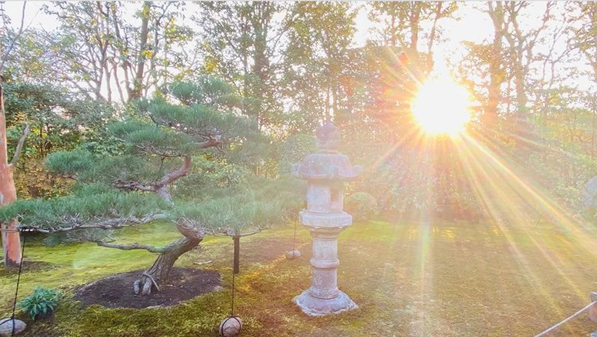 投稿写真：夕日に映える妙心寺