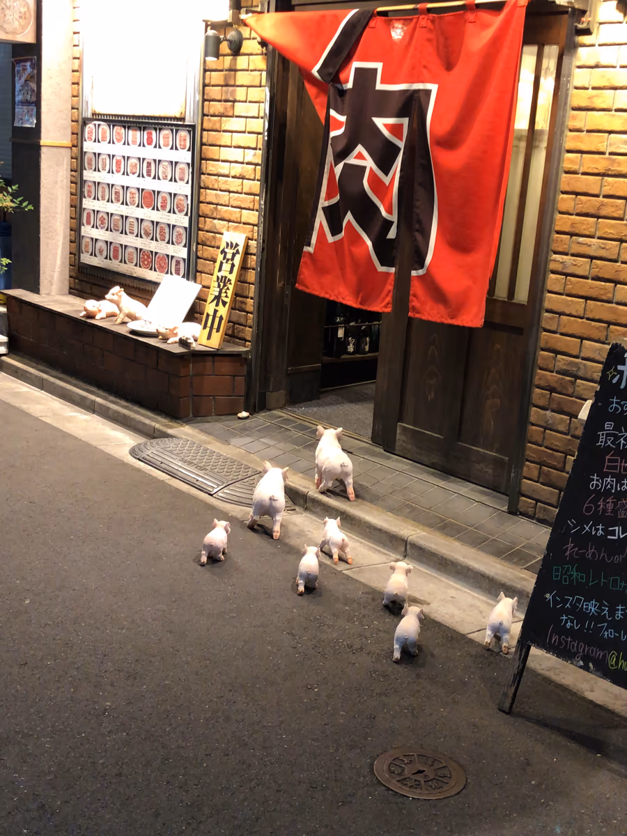 投稿写真：ブタの行進