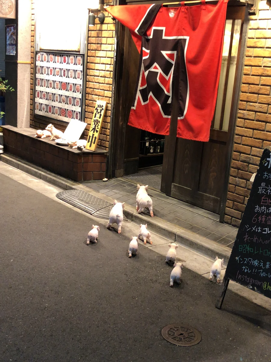 投稿写真：ブタの行進