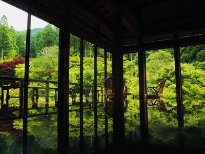 雨の日に愉しむ日本の美のススメのメイン画像