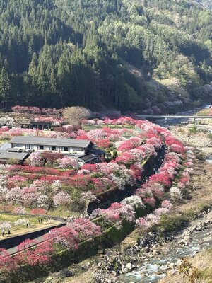  | 絶景事典