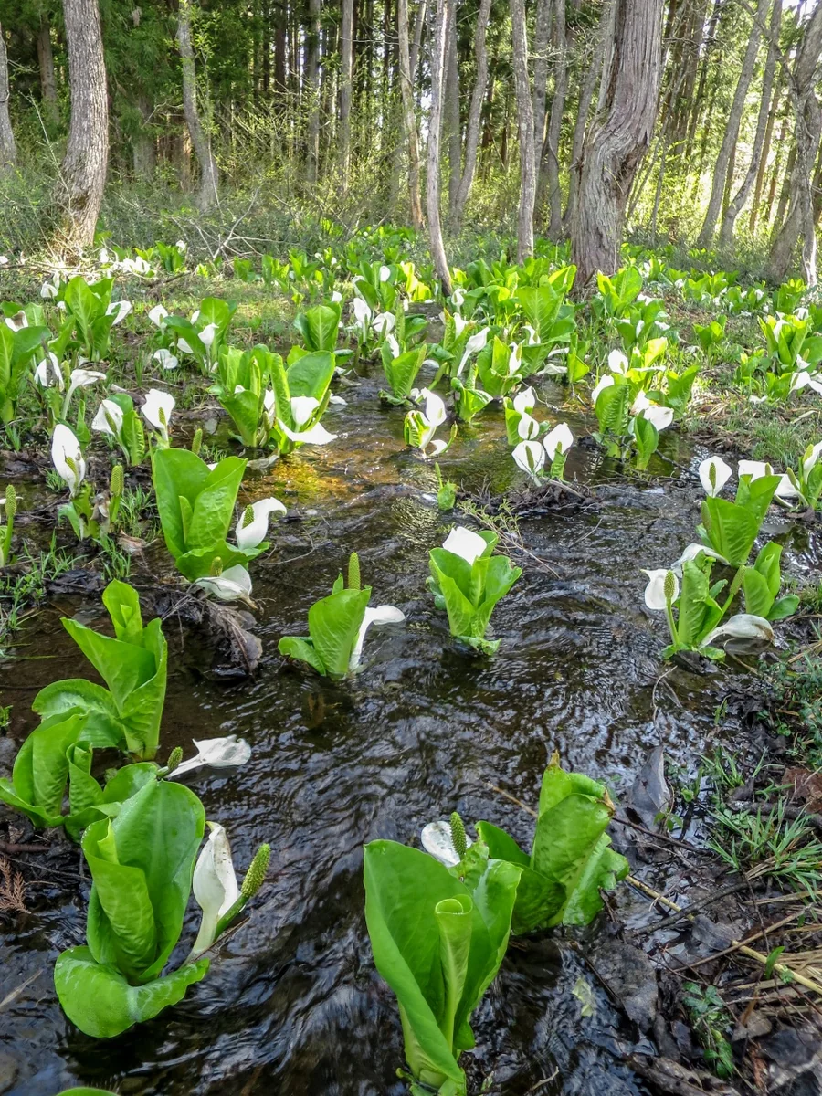 伊藤 和平さんの投稿写真