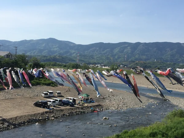 投稿：鯉のぼりの丹生川渡し