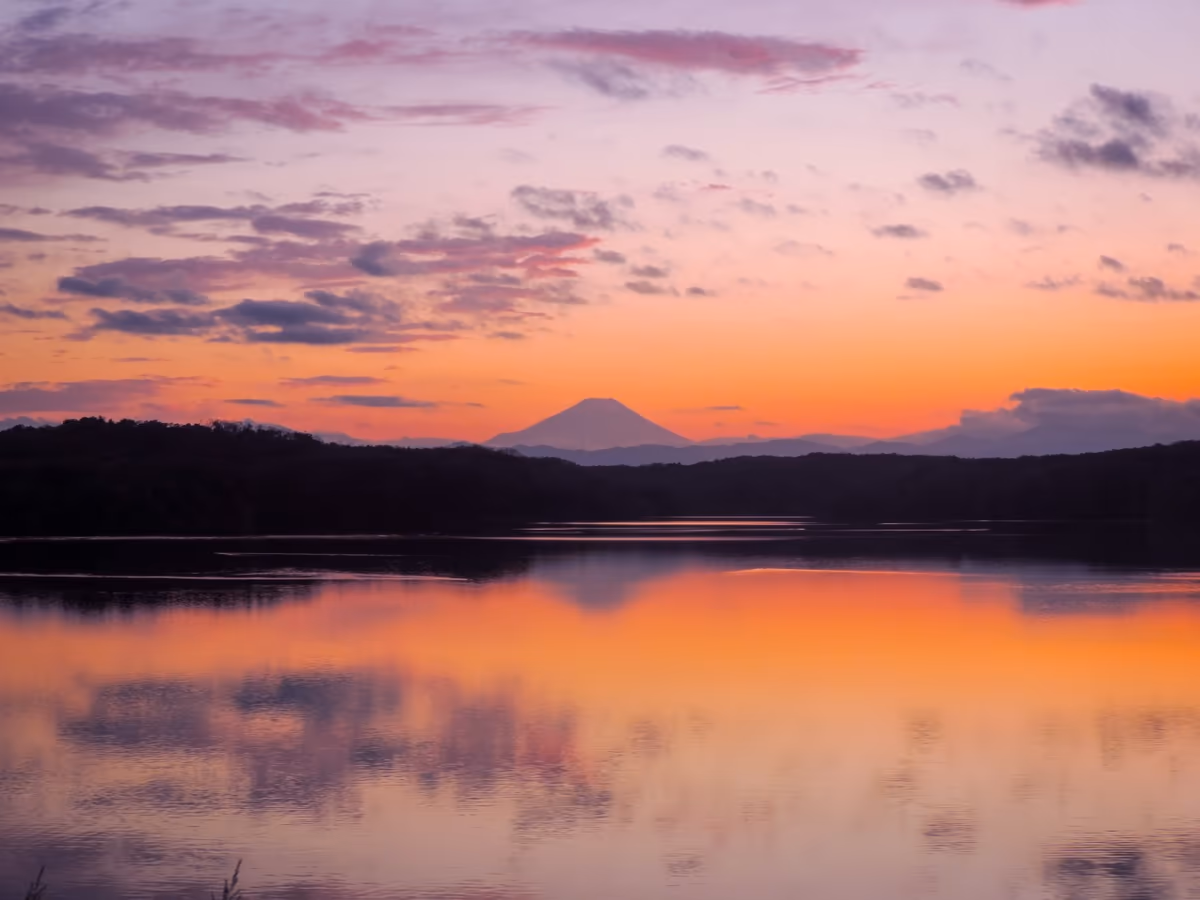投稿写真：狭山湖夕景