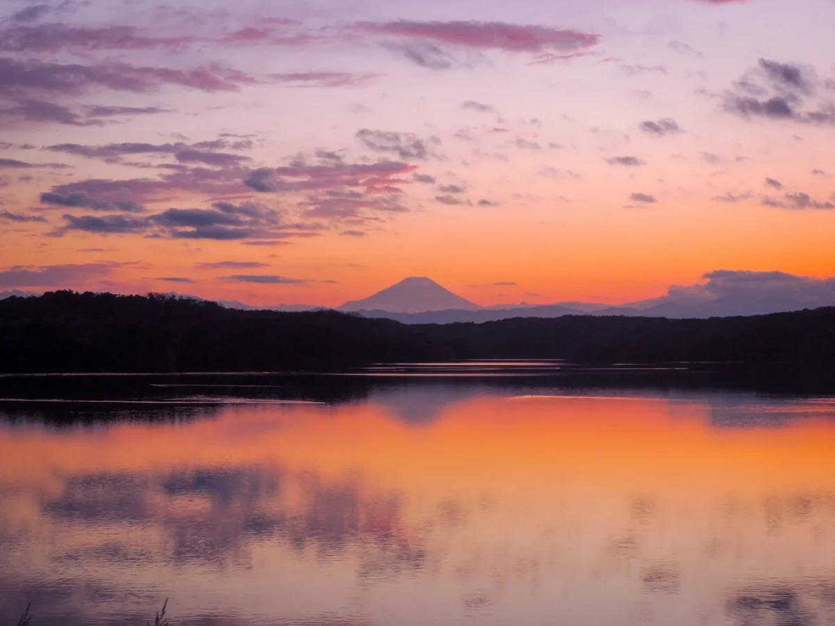 投稿写真：狭山湖夕景