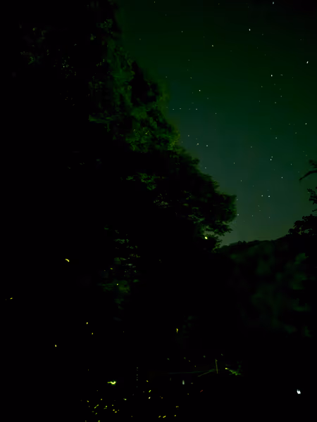 投稿：天へ昇り星空になった蛍達が織りなす幽玄の世界