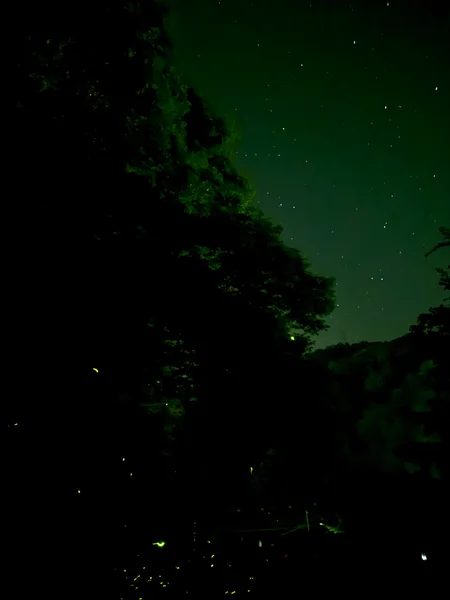 投稿：天へ昇り星空になった蛍達が織りなす幽玄の世界