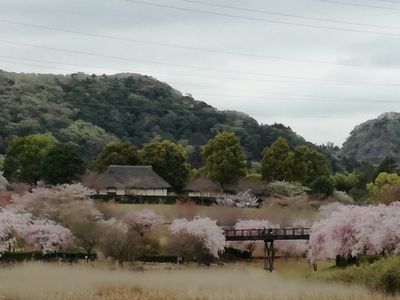  | 絶景事典
