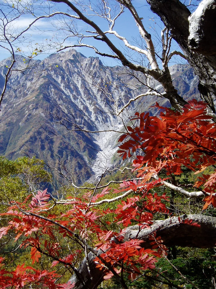 投稿写真：四季