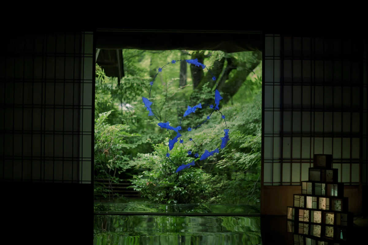 投稿写真：深緑に映える青い魚のオブジェ