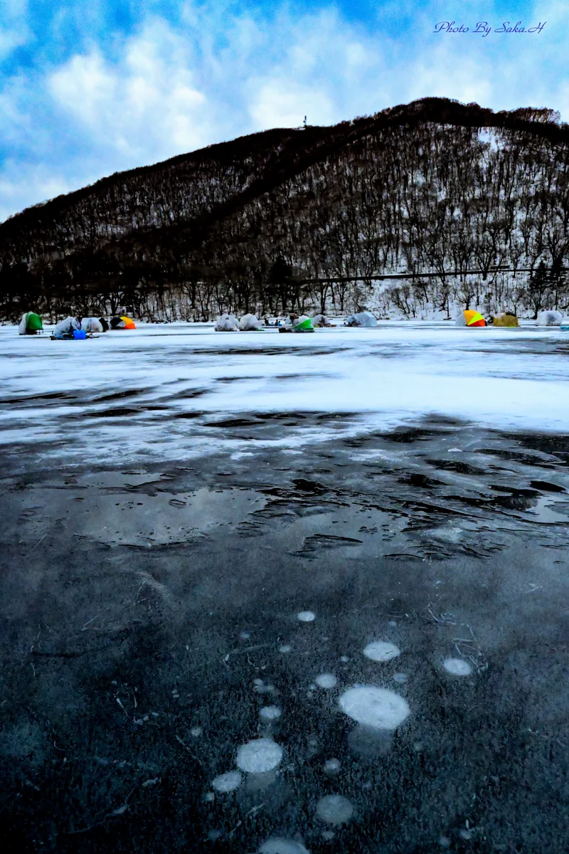 投稿写真：アイスバブル