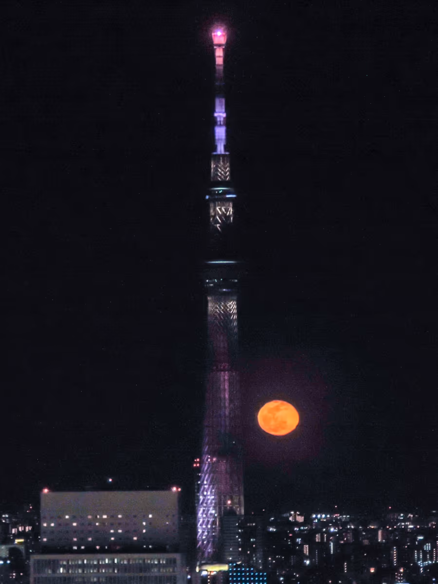 投稿写真：立待月パールスカイツリー