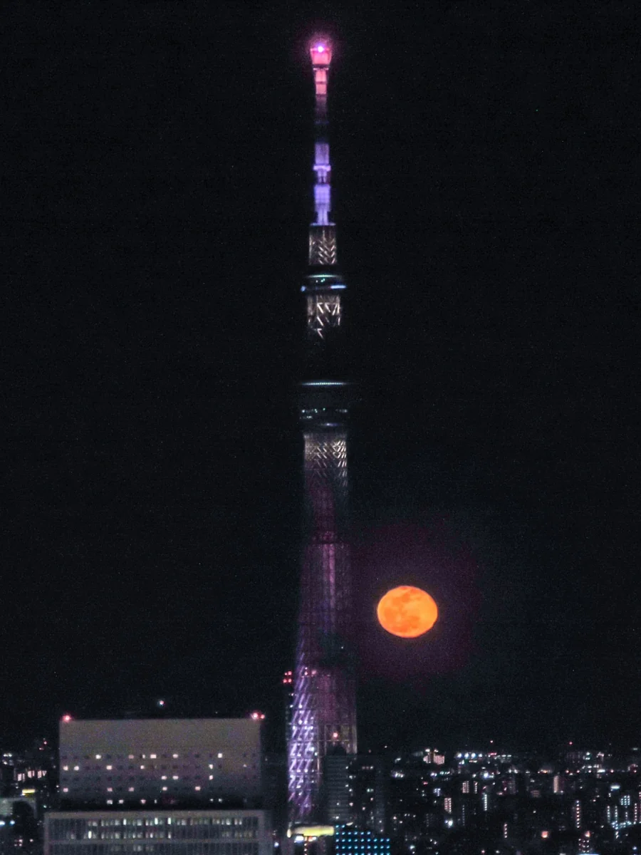 投稿写真：立待月パールスカイツリー