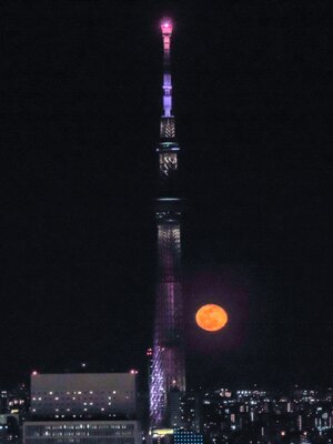  | 絶景事典
