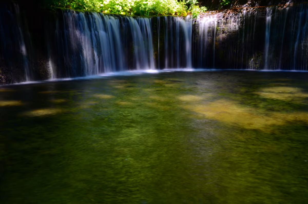 投稿写真：夏の白糸滝