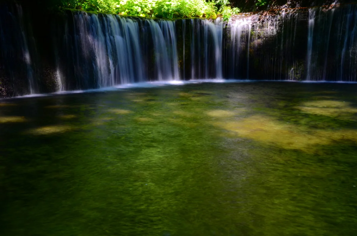 投稿写真：夏の白糸滝