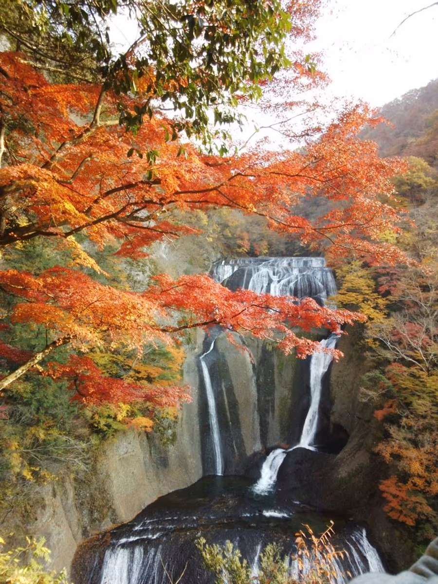 投稿写真：秋の袋田