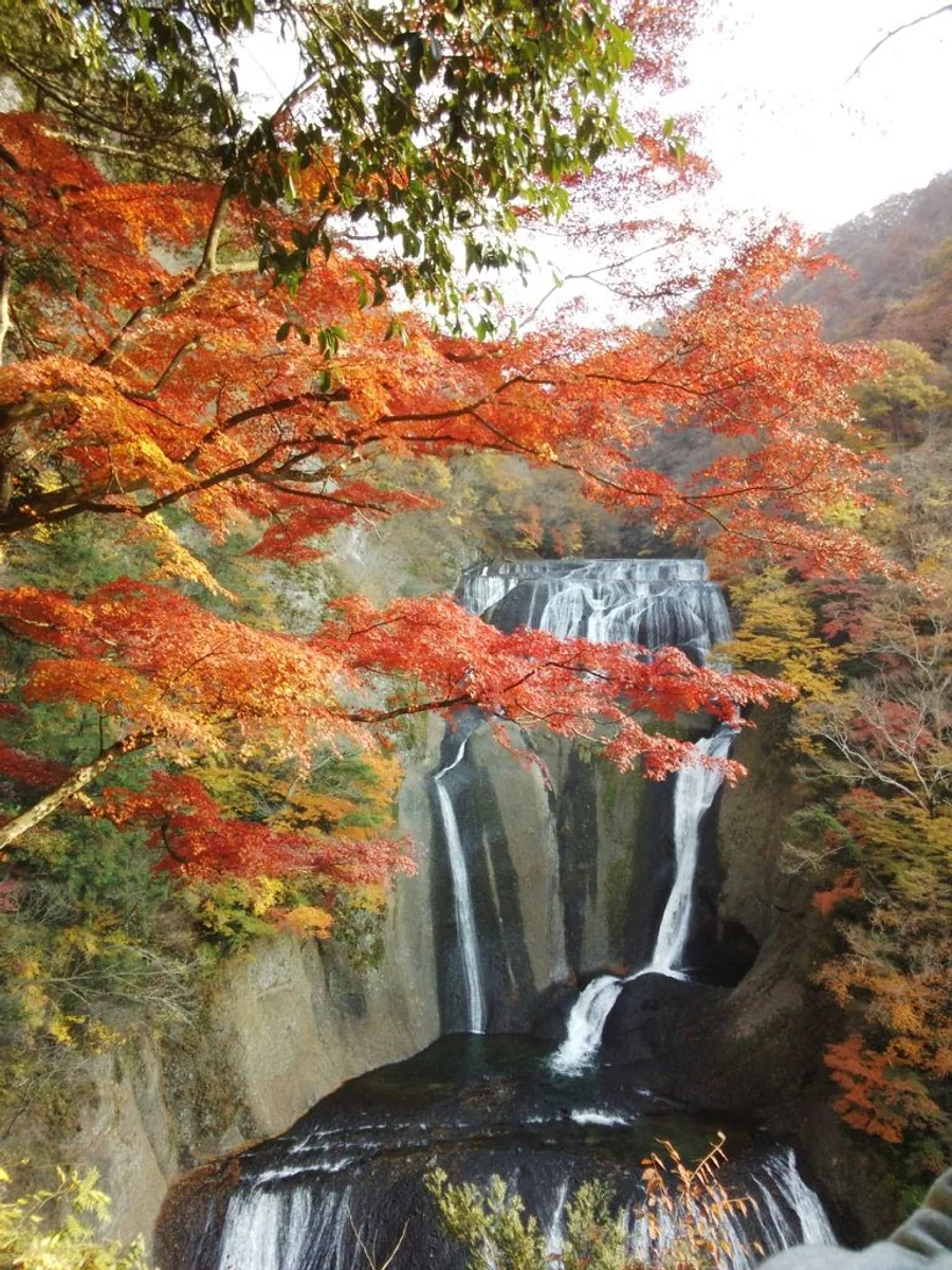 投稿写真：秋の袋田