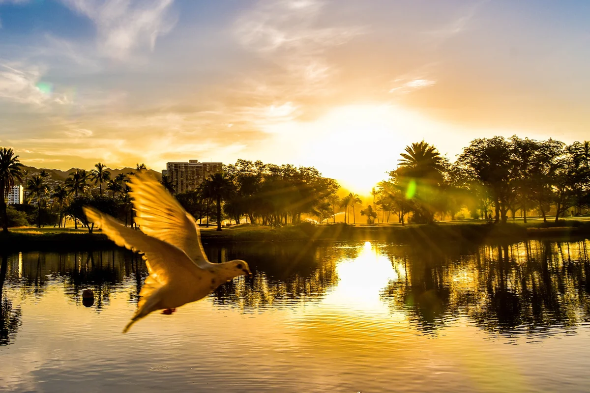 投稿写真：朝旅