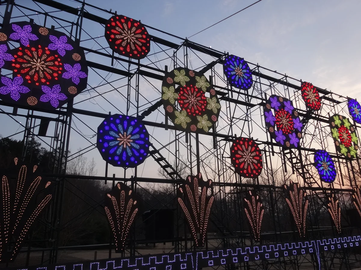 投稿写真：『光の花火』／あしかがフラワーパーク