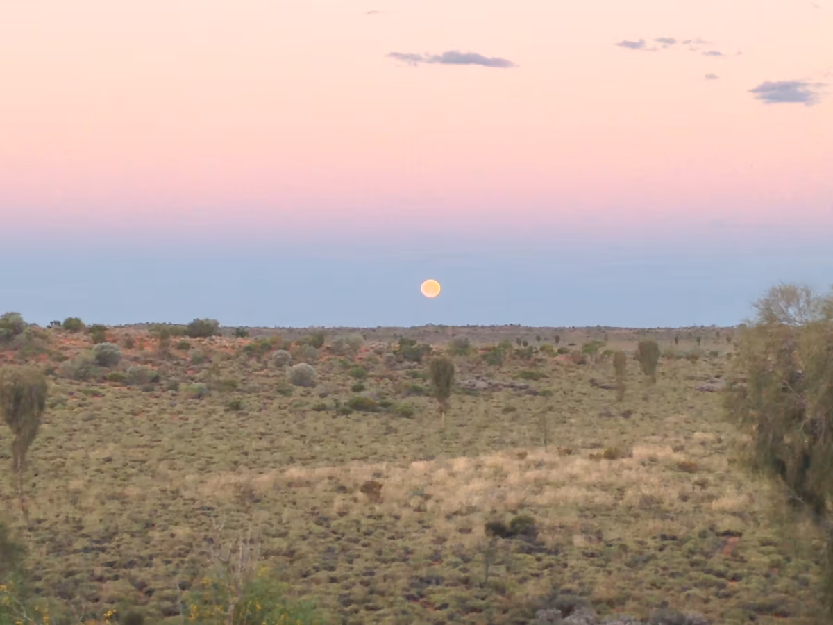 投稿写真：Moonrise・月の出