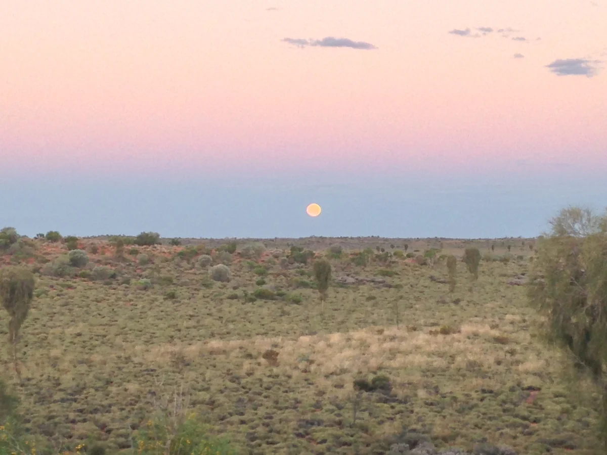投稿写真：Moonrise・月の出