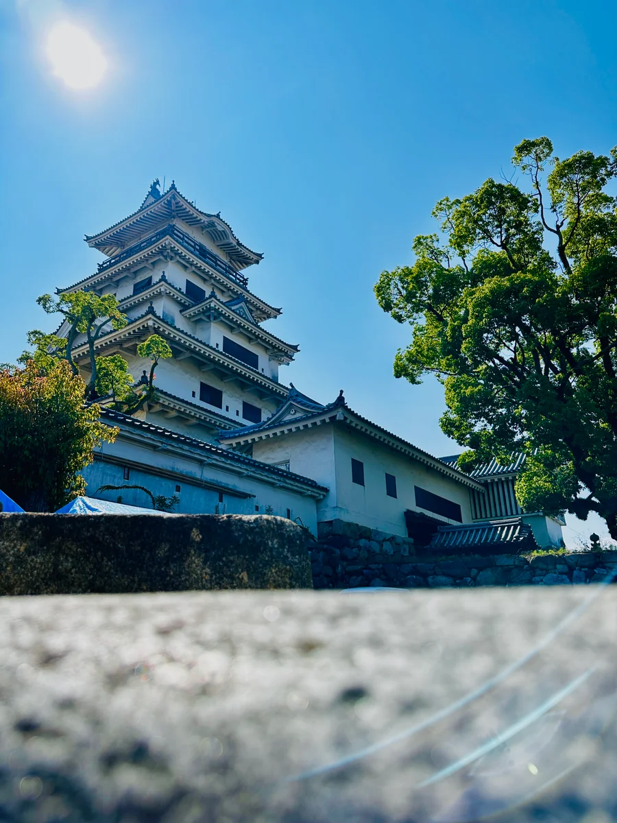 投稿写真：見習くん