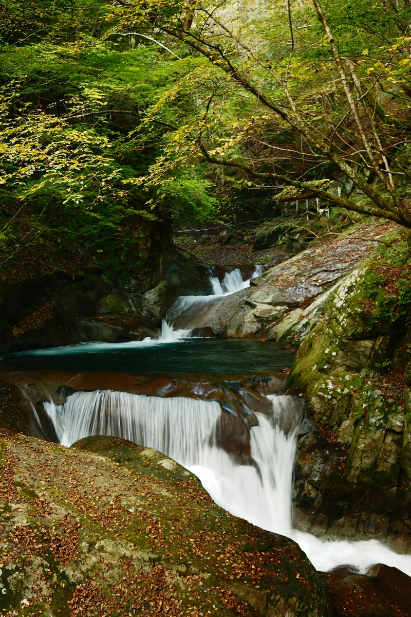 投稿写真：西沢渓谷　三重の滝