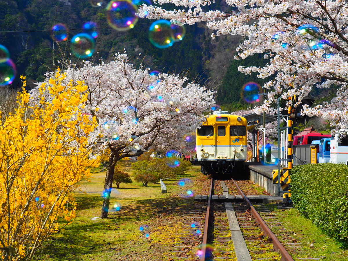 重山 恭輝さんの投稿写真