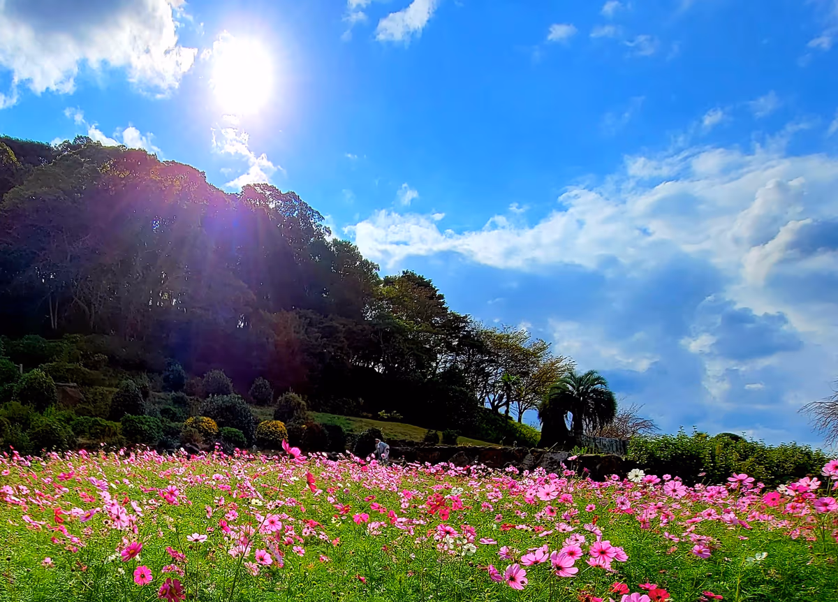投稿写真：PINK×PINK×PINK