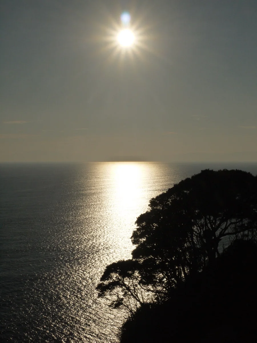 投稿写真：何もない日