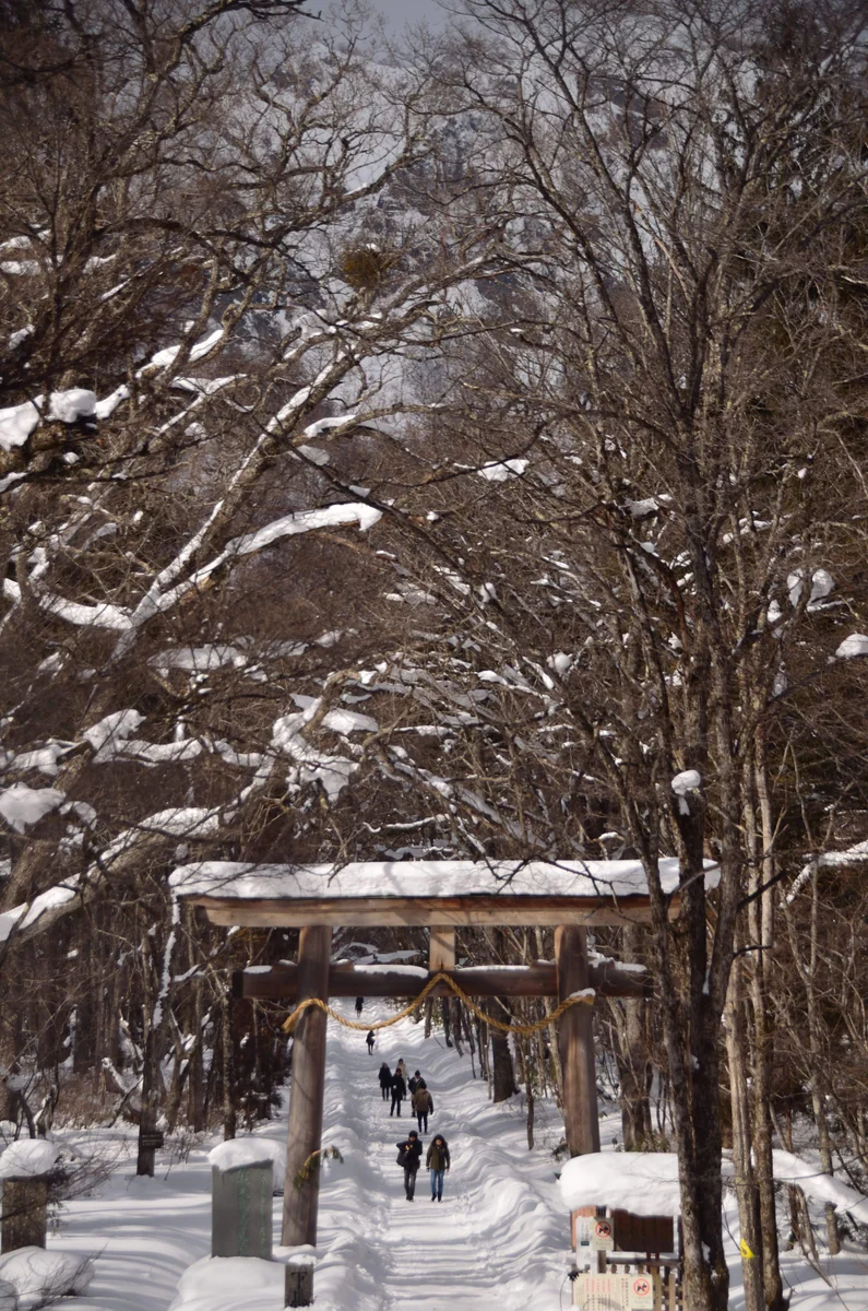 投稿写真：戸隠神社奥社　雪の参道と鳥居