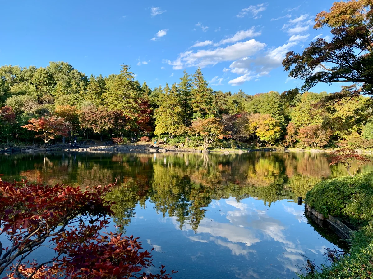 投稿写真：昭和記念公園日本庭園
