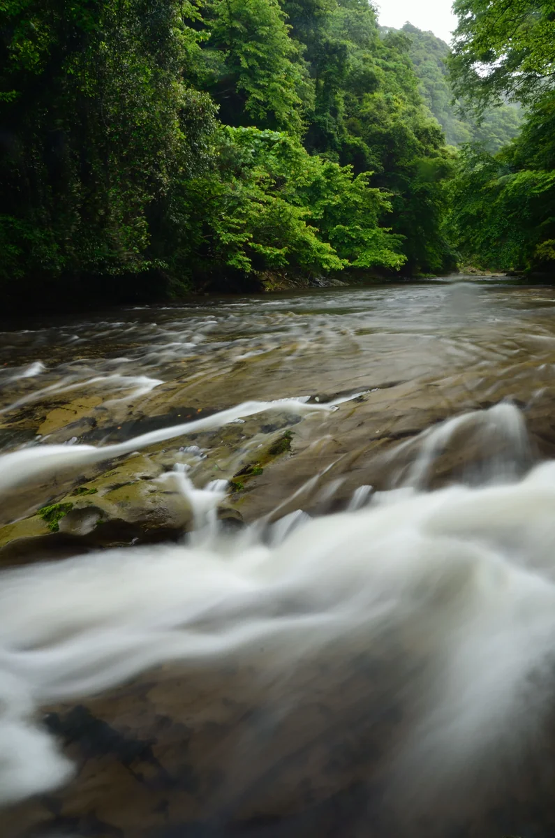 投稿写真：梅雨の養老渓谷