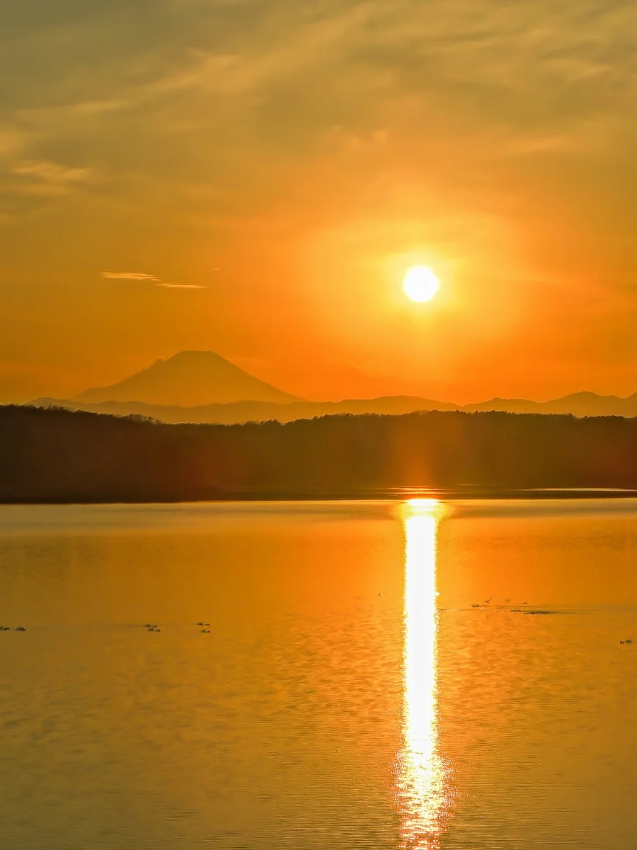 投稿写真：なが~いなが~い光の道