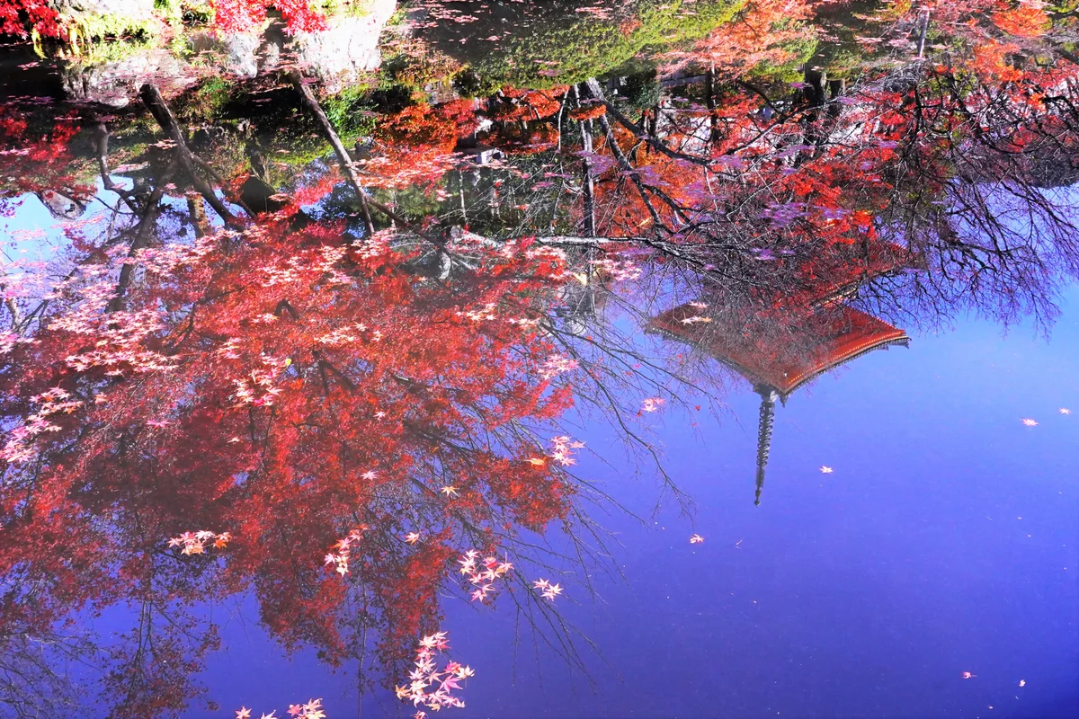 投稿写真：清水寺